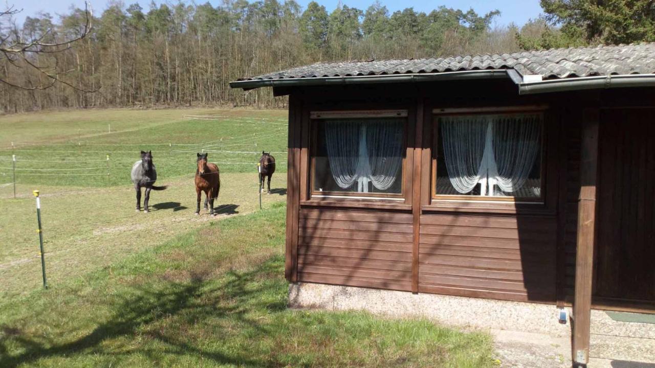 Reitstation Rossmuehle Διαμέρισμα Gräfendorf Εξωτερικό φωτογραφία